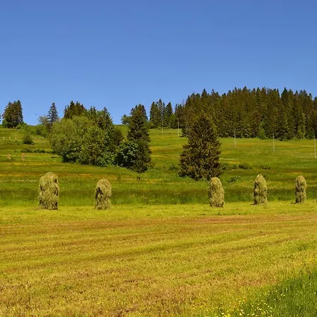 Montenero Resort&spa Czarna Góra