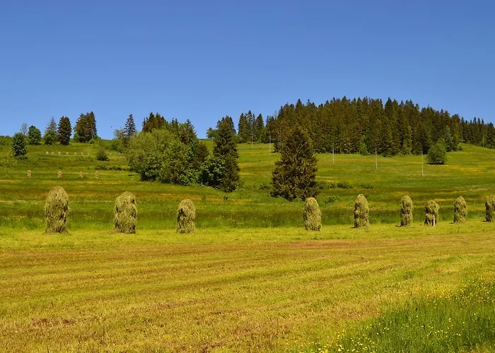 Montenero Resort&spa Czarna Góra